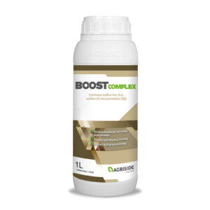 Boost Complex