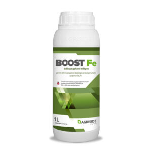 Boost Fe