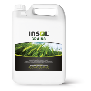 Insol Grains