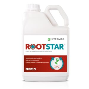 RootStar