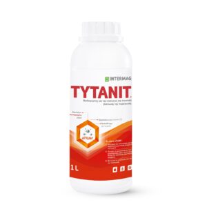 Tytanit