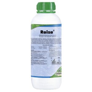 Raiza