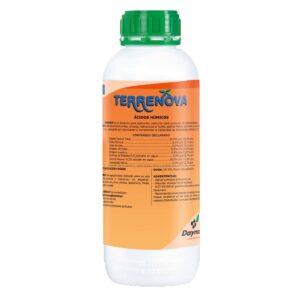 Terrenova